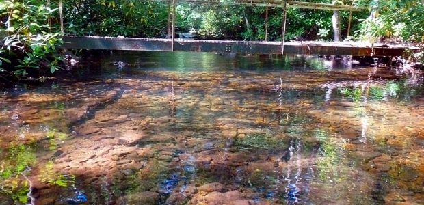 Stream 1