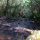 Stream 3