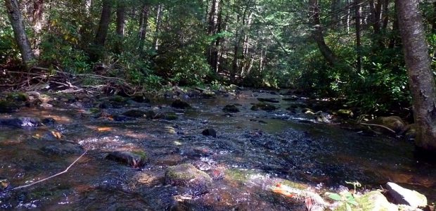 Stream 3