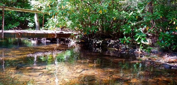 Stream 2