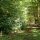 Scenery 2